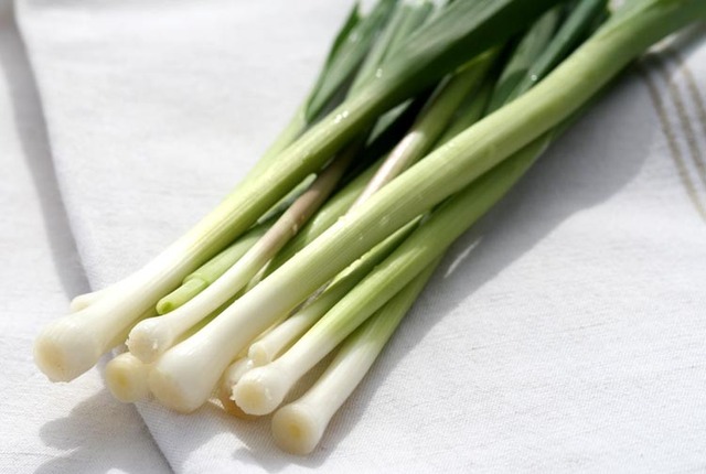Purée de Blanc de Poireau DLC 24/04/2025