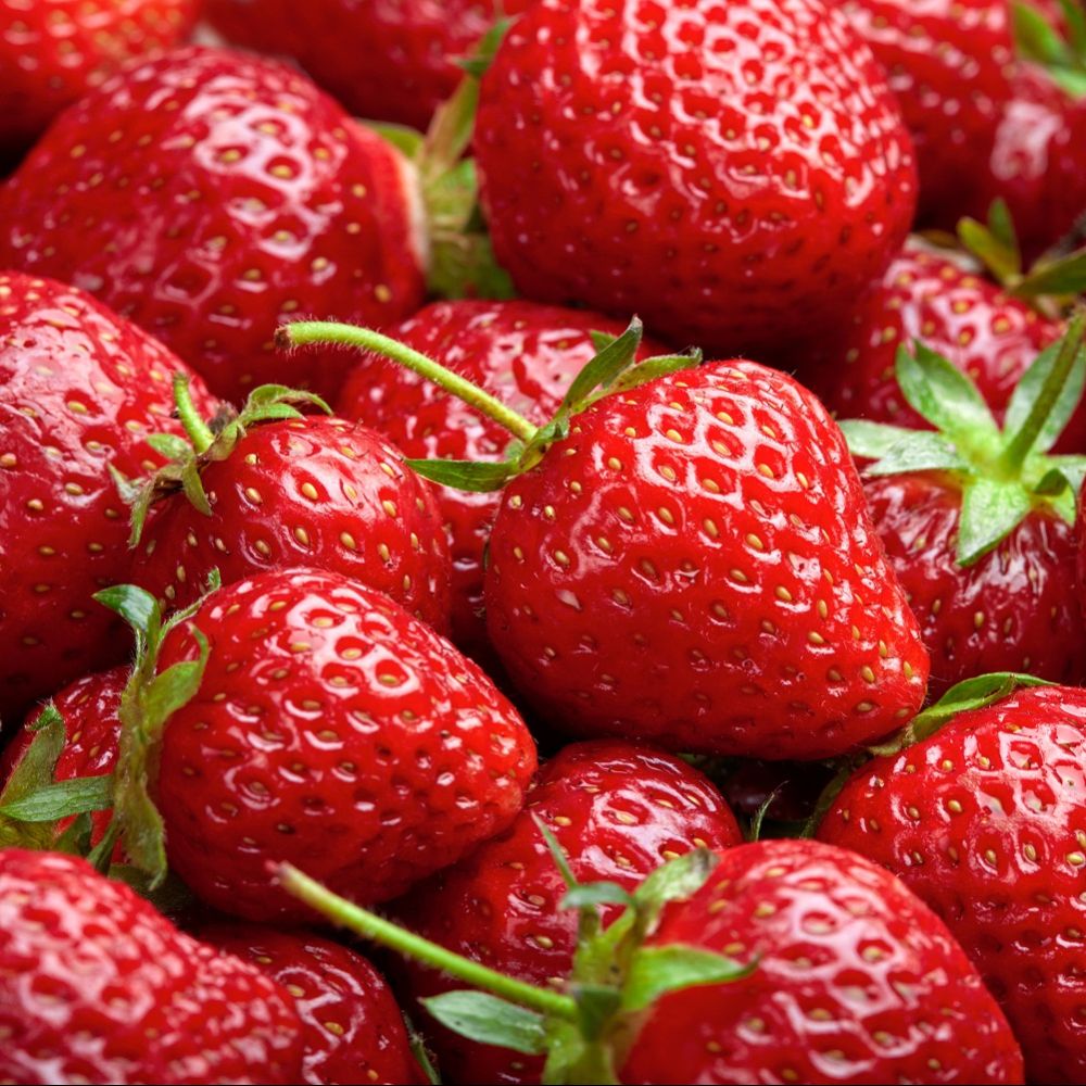 Compote de Pomme Fraise Verveine DLC 13/05/2025
