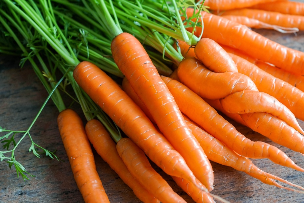 Purée de Carottes DLC 14/05/2025