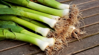 Dès 15/18 mois : Souper - Poireaux au cumin et Quinoa au persil Texture "Mouliné" DLC 26/06/2025