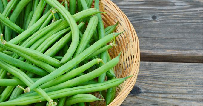 Purée d'Haricots verts DLC 06/07/2025