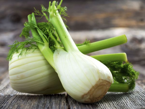 Dès 6/8 mois : Déjeuner - Courgettes et Fenouil à la sauce tomate, pâtes au basilic et dos d'Eglefin à l'huile d'olive Texture "Lisse" DLC 27/07/2025