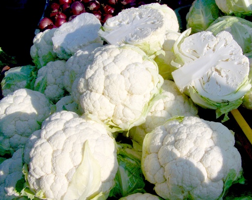Purée de Chou-fleur DLC 02/04/2025
