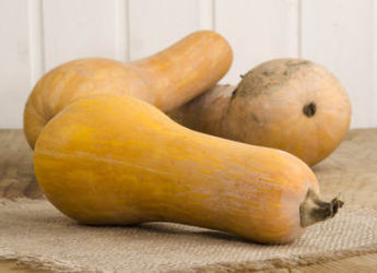 Purée de Courge Butternut DLC 09/04/2025