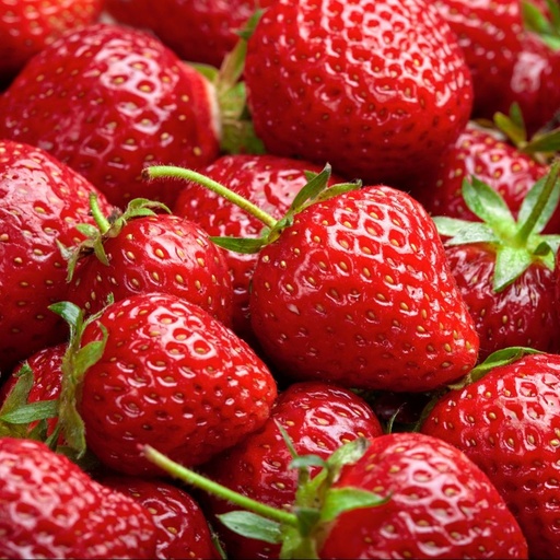 Compote de Pomme Fraise Verveine DLC 13/05/2025