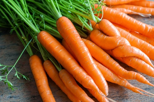Purée de Carottes DLC 14/05/2025