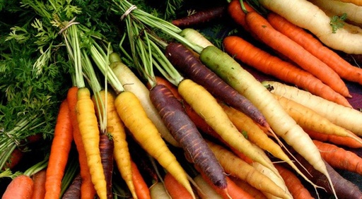 Dès 6/8 mois : Souper - Carottes à l'orange et Petits pois en Persillade  Texture "Lisse" DLC 30/06/2025