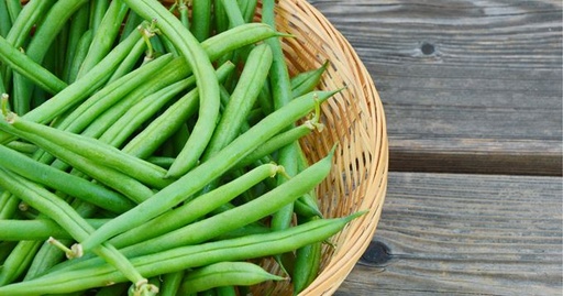 Purée d'Haricots verts DLC 15/07/2025